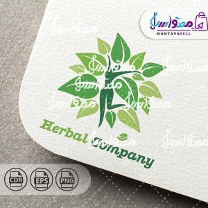 طرح لوگو آماده برگ سبز و نماد تندرستی